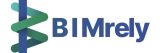 BIMrely.co.in